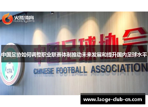 中国足协如何调整职业联赛体制推动未来发展和提升国内足球水平
