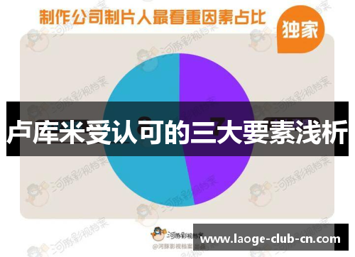 卢库米受认可的三大要素浅析