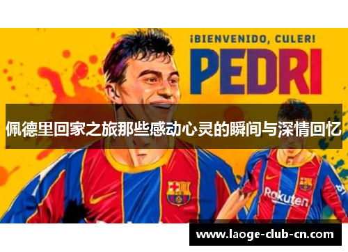 佩德里回家之旅那些感动心灵的瞬间与深情回忆
