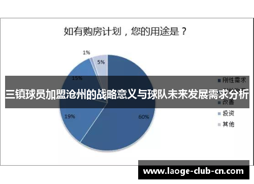 三镇球员加盟沧州的战略意义与球队未来发展需求分析