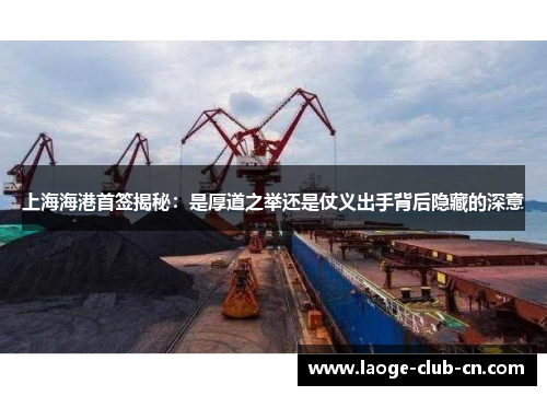 上海海港首签揭秘：是厚道之举还是仗义出手背后隐藏的深意