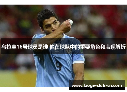 乌拉圭16号球员是谁 他在球队中的重要角色和表现解析