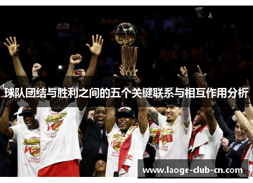 球队团结与胜利之间的五个关键联系与相互作用分析