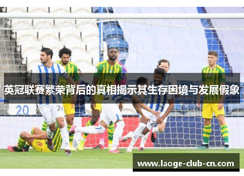 英冠联赛繁荣背后的真相揭示其生存困境与发展假象